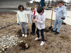 Removing invasive species at the new location of the habitat restoration 2